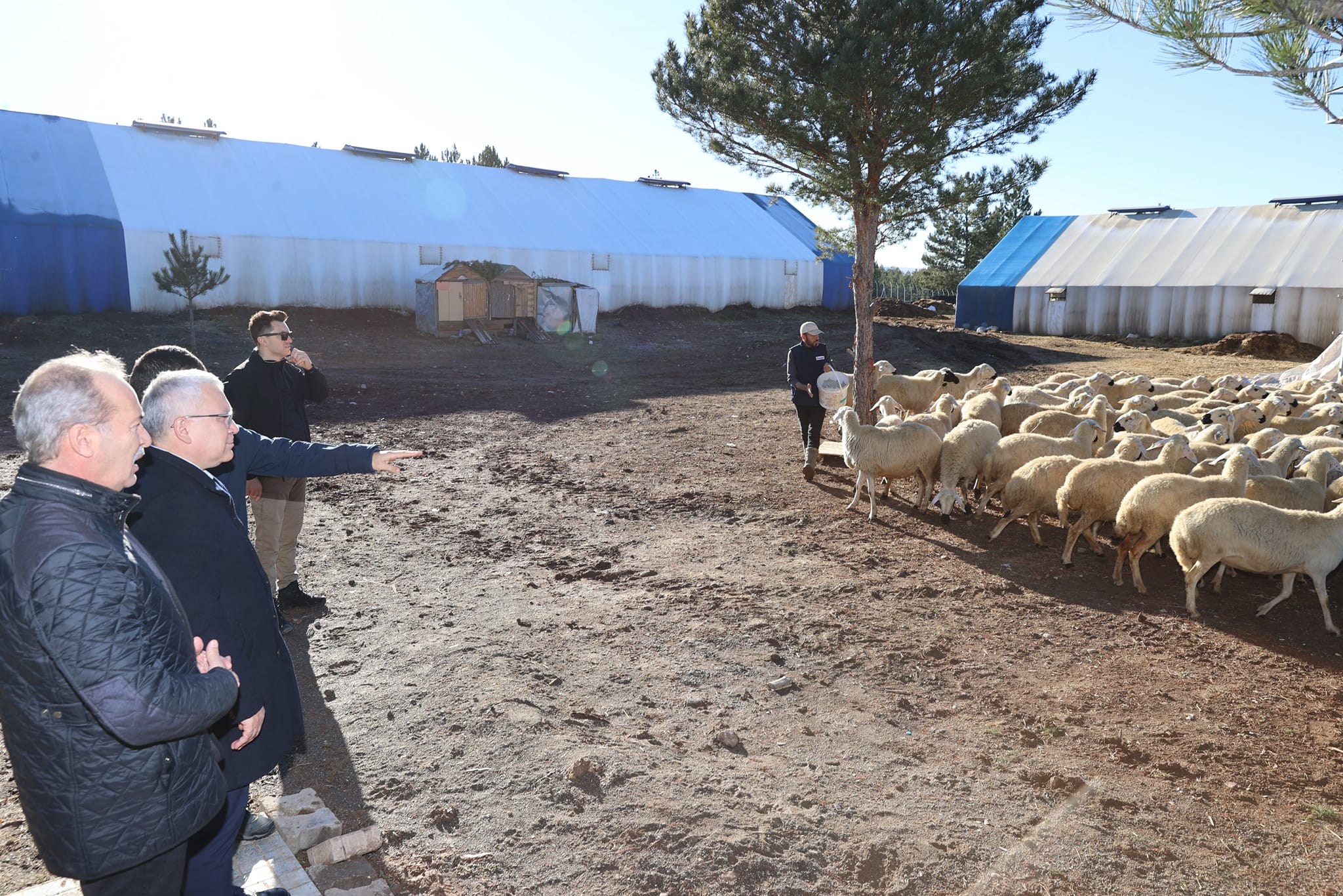 Vali Yılmaz Şimşek, Sivas Cumhuriyet Üniversitesi Kampüsü içerisinde Kangal Köpeği Uygulama Merkezi ve Sivkoç ziyaret etti