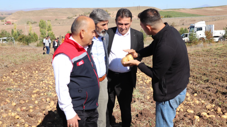 Tohumluk Patates Üretiminde Sivas Birinci Sırada