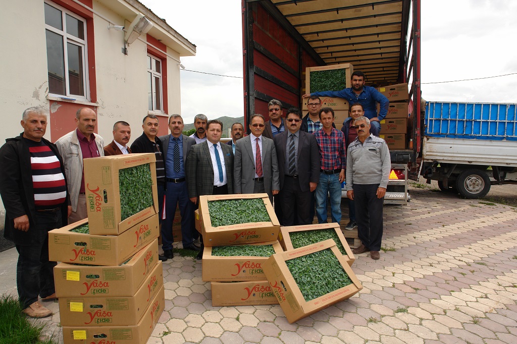 Nadas Alanlarının Daraltılması Projesi ile Yem Bitkilerini Geliştirilmesi Projesi Kapsamında Fide ve Tohum dağıtımı gerçekleştirildi