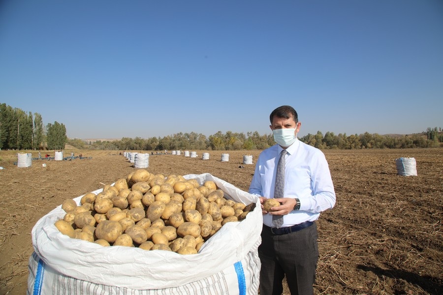 Salih Ayhan”Sivas Patates Üretiminde Ekonomiye Büyük Katkı Sağlayacak”