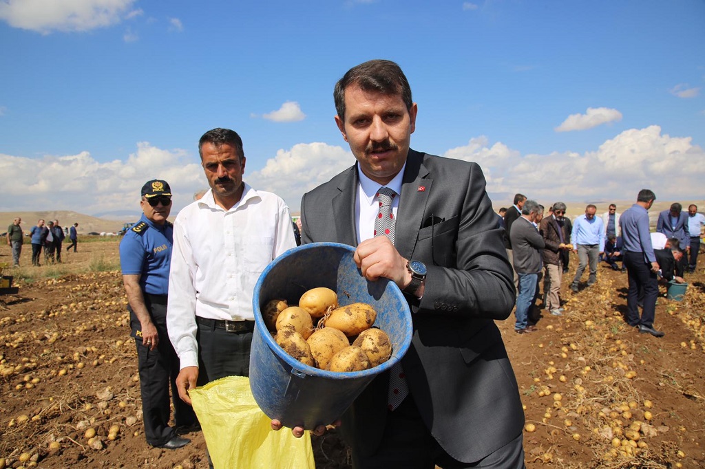 Vali Salih Ayhan, Patates Hasat Programına Katıldı